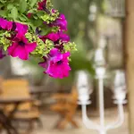 Holiday park Orhaniye Incir Bungalow, Beach & Restaurant
