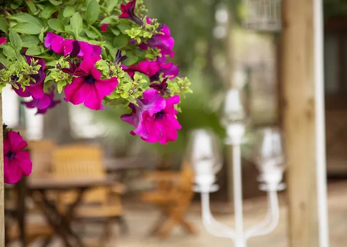 Holiday park Orhaniye Incir Bungalow, Beach & Restaurant