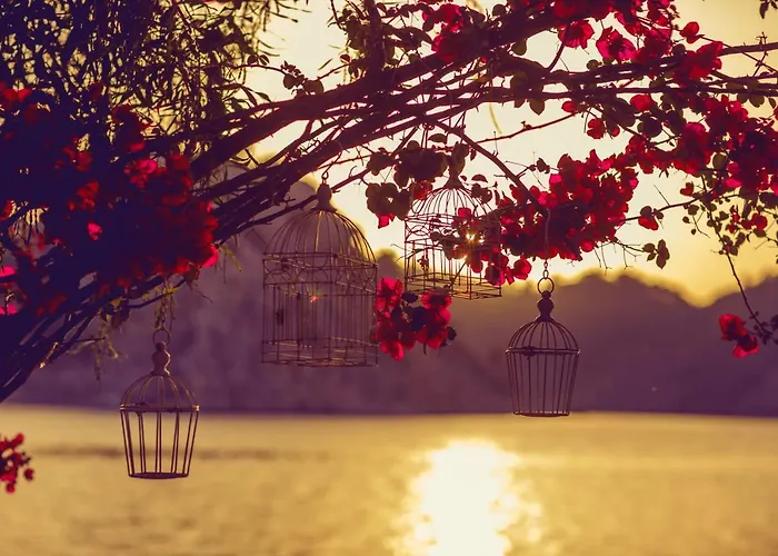 Orhaniye Incir Bungalow, Beach & Restaurant * Orhaniye (Marmaris)